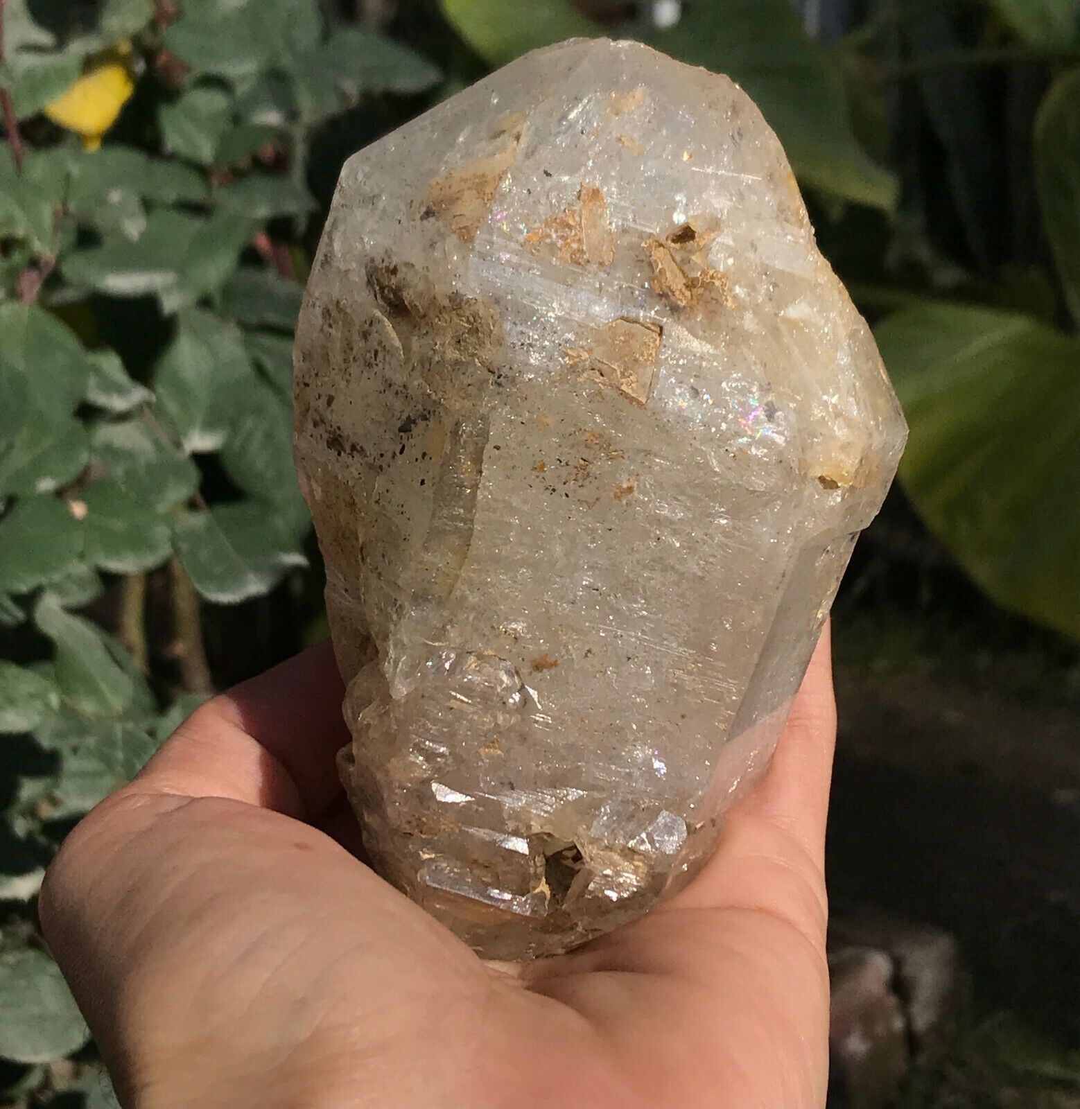 581gr Double Terminated Huge Window Quartz Crystal From Baluchistan (32)