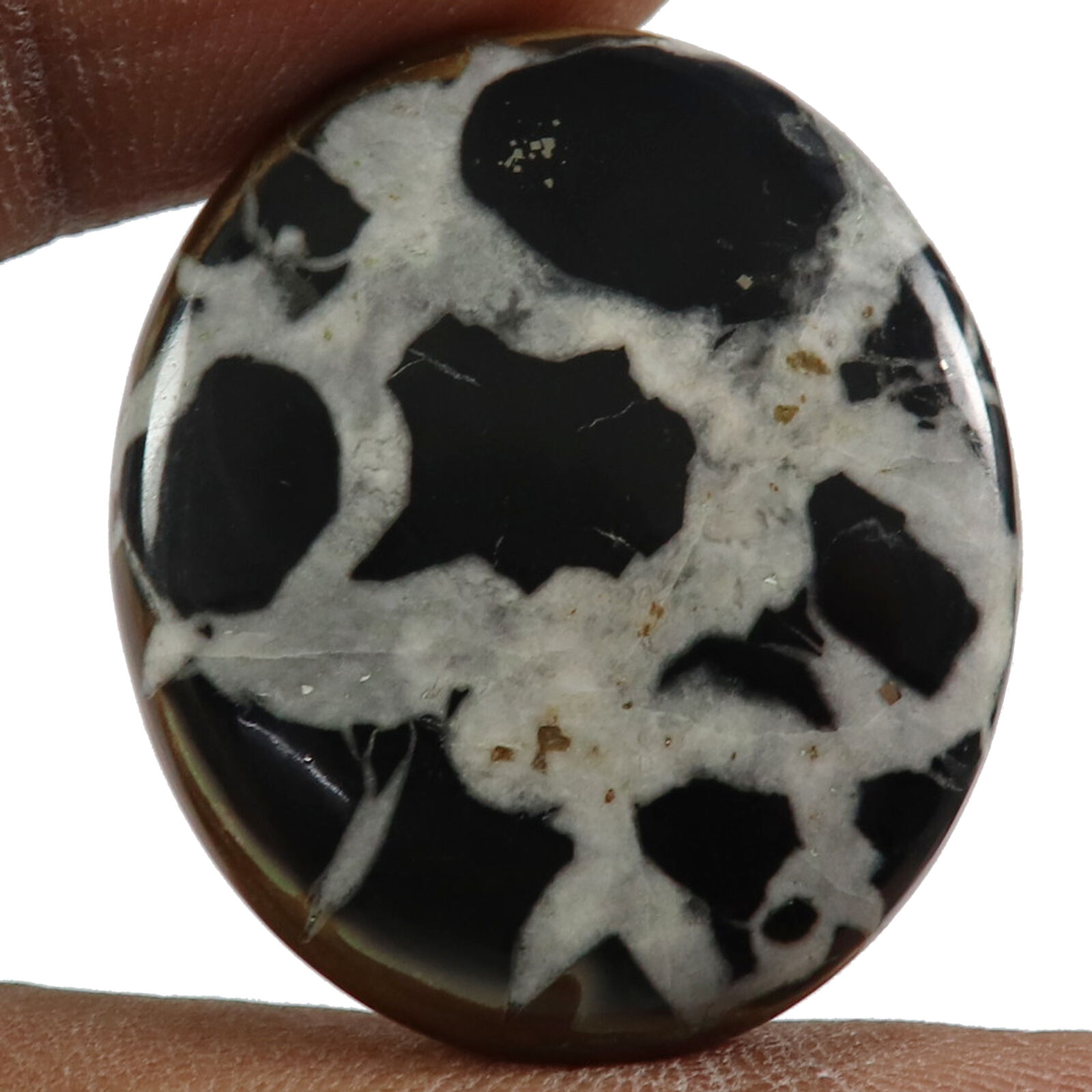 Septarian Oval Cabochon Natural Loose Gemstone 45.35cts Oi64